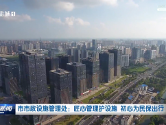 市市政设施管理处：匠心管理护设施  初心为民保出行