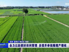 全力以赴抓好田间管理 多措并举保障增产增收