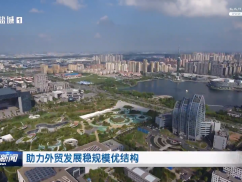 助力外贸发展稳规模优结构