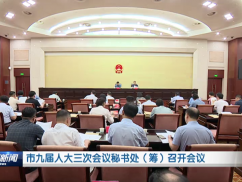 市九届人大三次会议秘书处（筹）召开会议