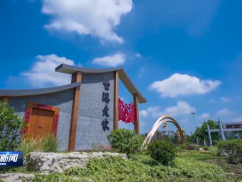 周斌在东台市调研乡村振兴工作时强调：塑造优势 体现特色 全面打造宜居宜业和美乡村