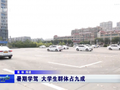 暑期学驾 大学生群体占九成