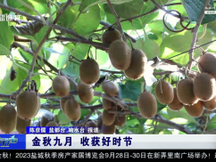 金秋九月 收获好时节