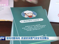 坚持问题导向 抓紧抓实燃气安全专项整治