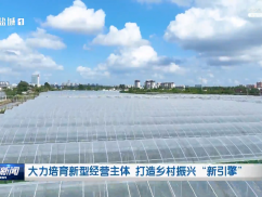 大力培育新型经营主体 打造乡村振兴“新引擎”