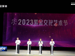 2023紫金文化艺术节在盐开幕