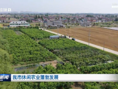 我市休闲农业蓬勃发展