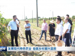 发展现代特色农业 绘就乡村振兴蓝图
