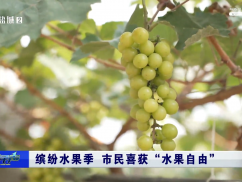 缤纷水果季 市民喜获“水果自由”