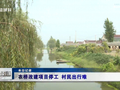 12345督办面对面：农桥改建项目停工 村民出行难