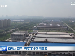 奋战大项目  夯实工业强市基底