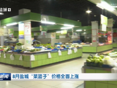 8月盐城“菜篮子”价格全面上涨