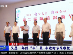 又是一年好“丰”景 丰收时节采收忙