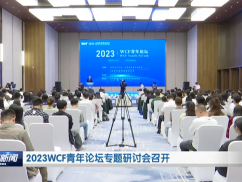 2023WCF青年论坛专题研讨会召开