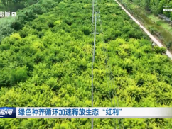 绿色种养循环加速释放生态“红利”