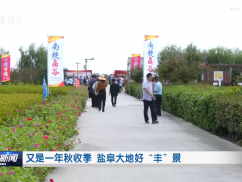 又是一年秋收季 盐阜大地好“丰”景